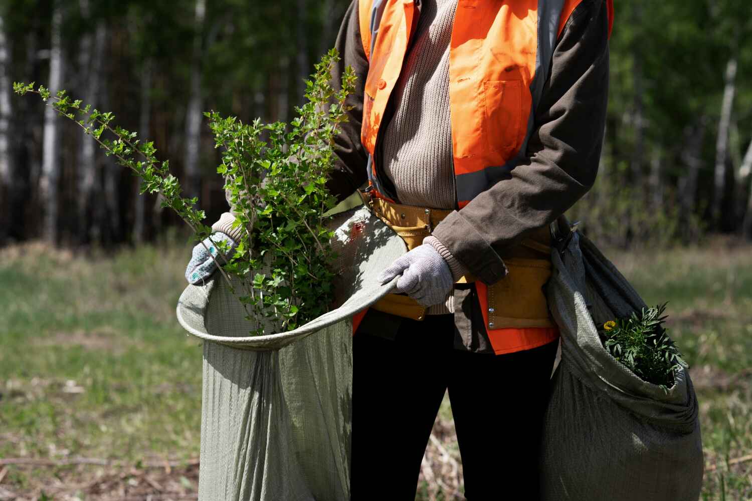 TreeGuard Tree Service